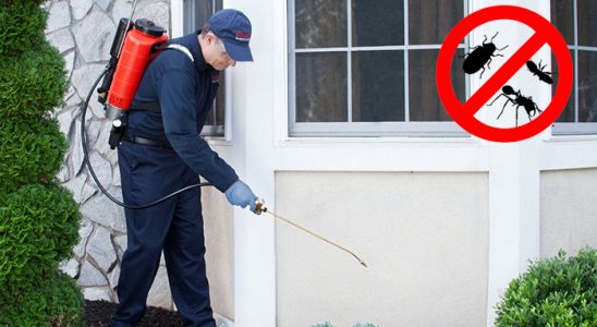 Mucur Kemirgen İlaçlama böcek ilaçlama ve haşere kontrolü — ilaclama-tr.com